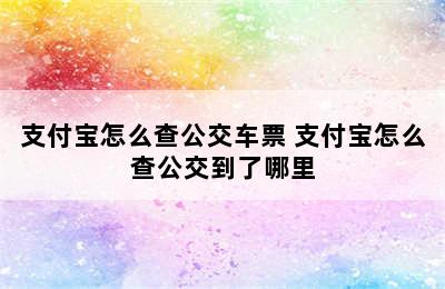 支付宝怎么查公交车票 支付宝怎么查公交到了哪里